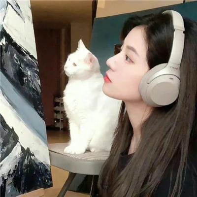 盛夏的猎户座海报